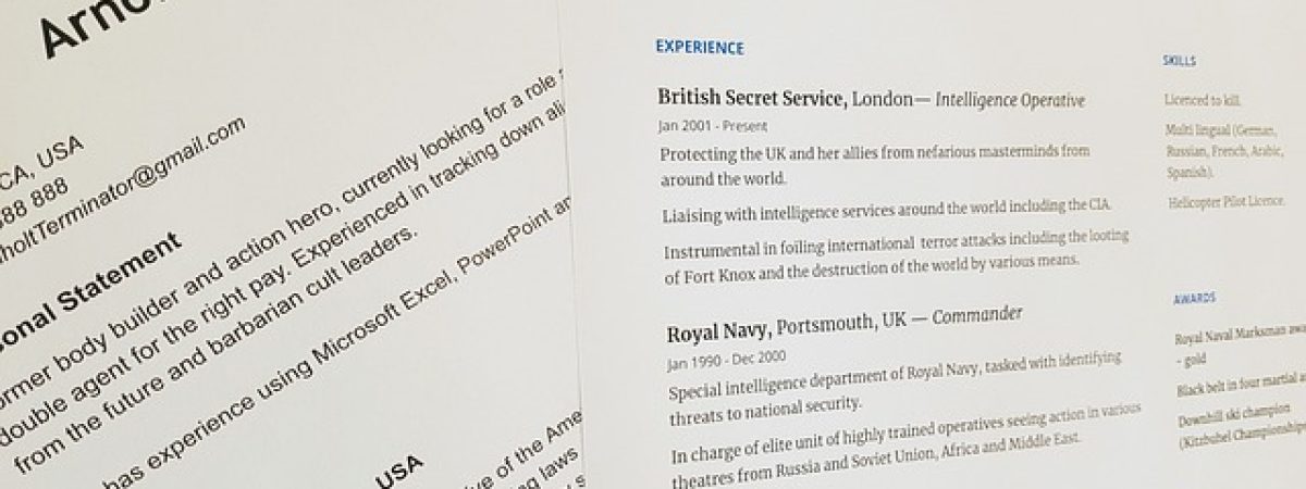 professional CV writers